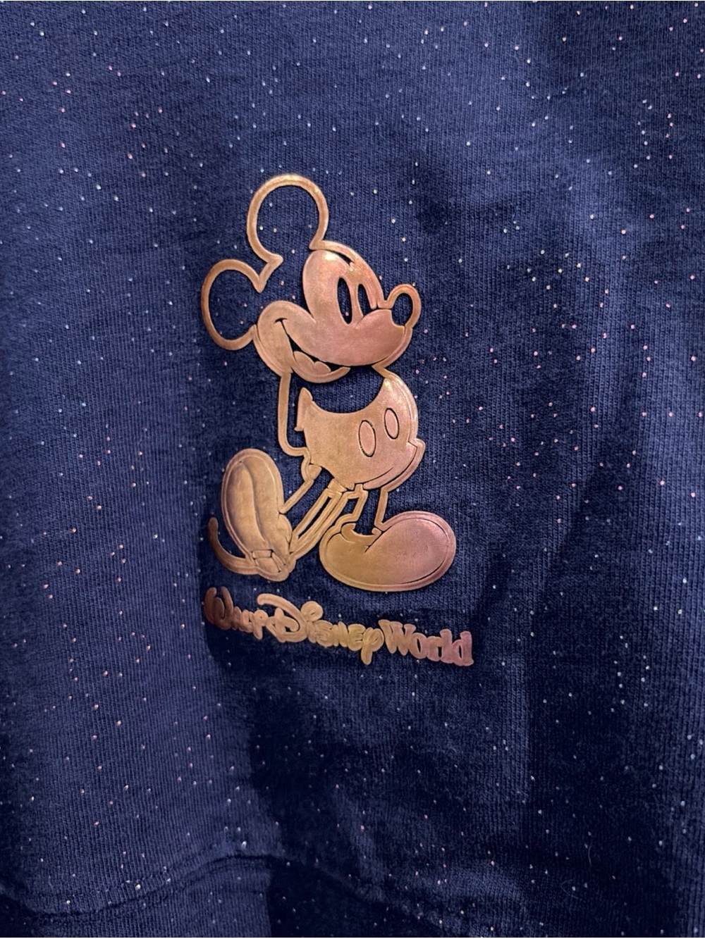 Walt Disney World 50th Anniversary Spirit Jersey Size Medium - Picture 3 of 5